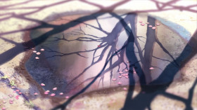 They say it’s five centimeters per second. The speed at which the sakura blossom petals fall… 