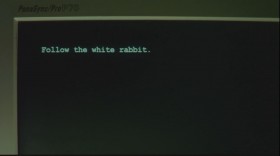 Follow the White Rabbit.