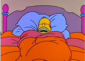 Ah. I'm just a big, toasty cinnamon bun. I never want to leave this bed.
